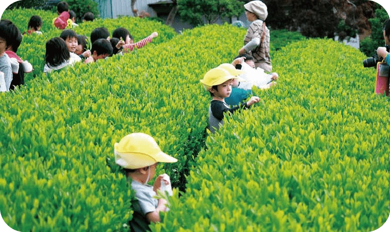 おでかけの森の写真